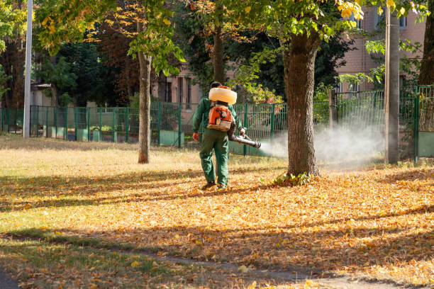 Best Pest Control Near Me in West Columbia, TX